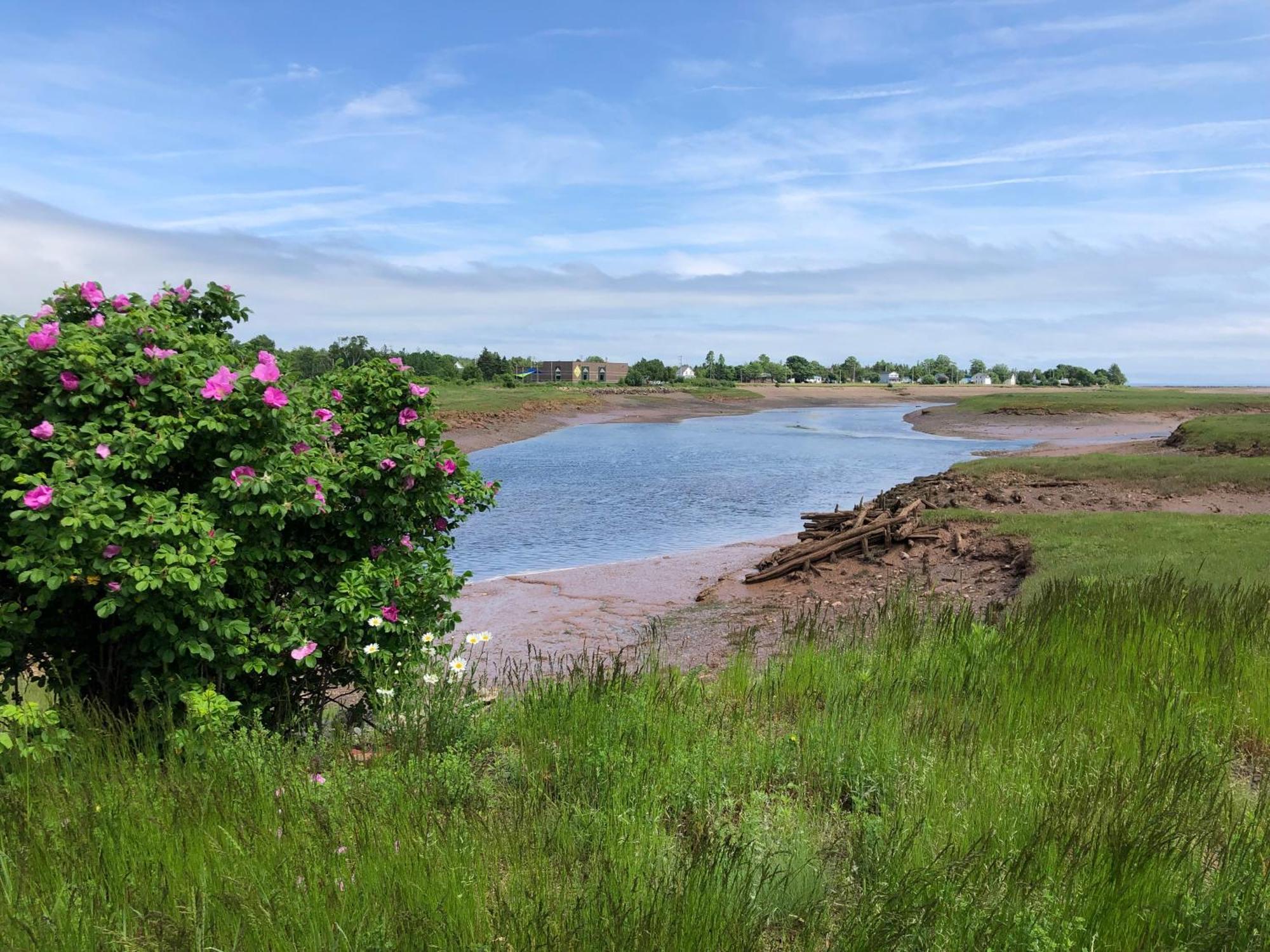 Pleasant Street Inn Parrsboro Bagian luar foto