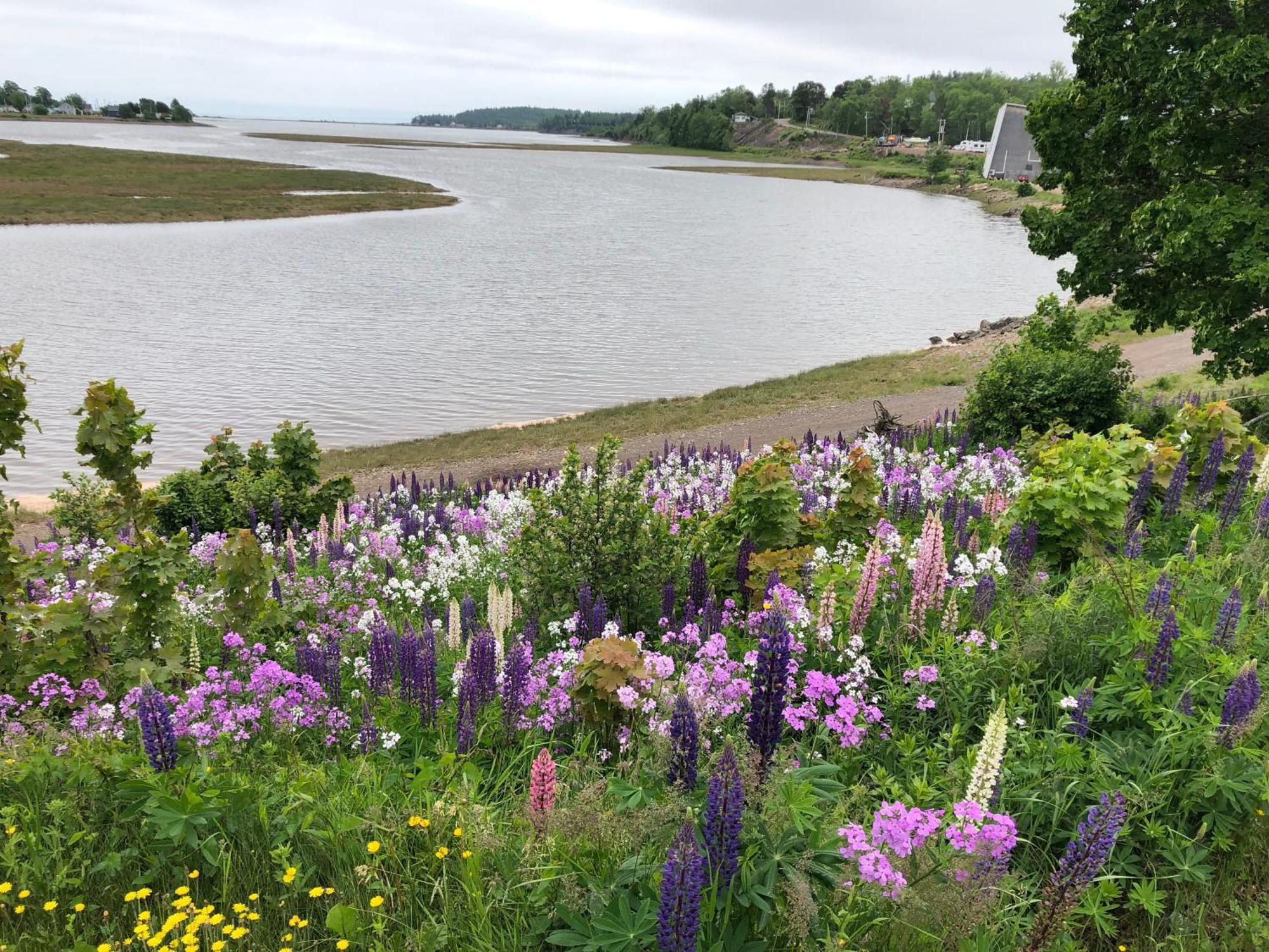 Pleasant Street Inn Parrsboro Bagian luar foto